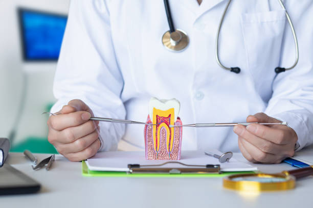 Best Emergency Root Canal Treatment in Travis Ranch, TX